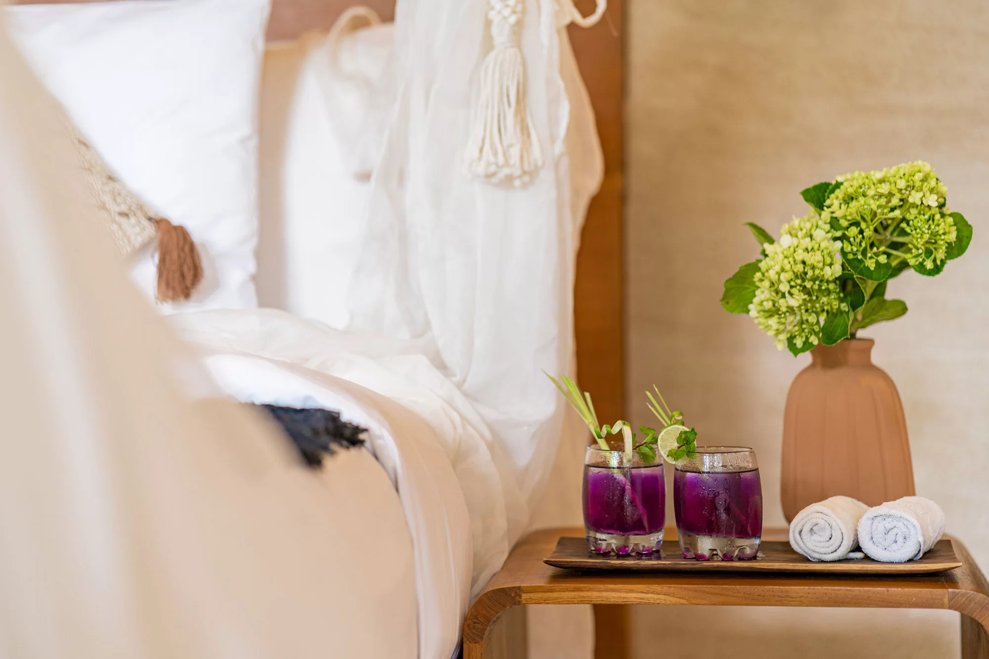 omhamretreat-siddhi suite-4