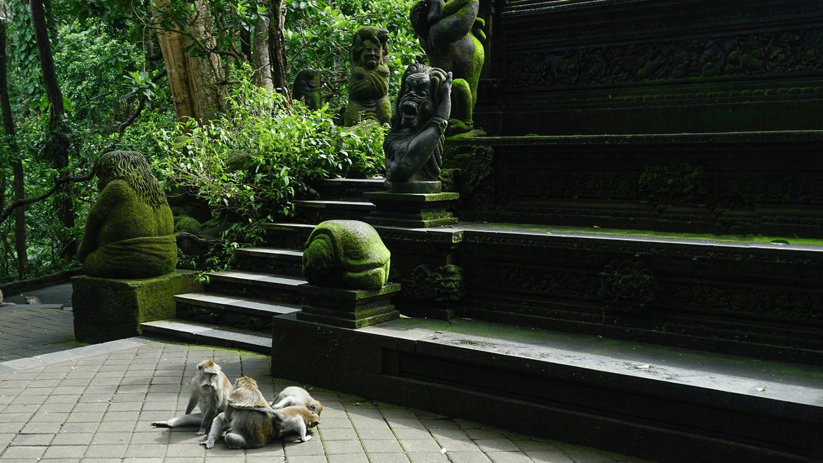 Sacred Monkey Forest (2)